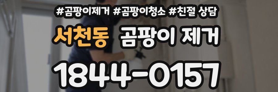서천동 곰팡이 제거