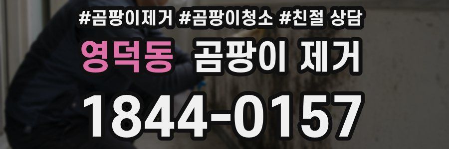영덕동 곰팡이 제거