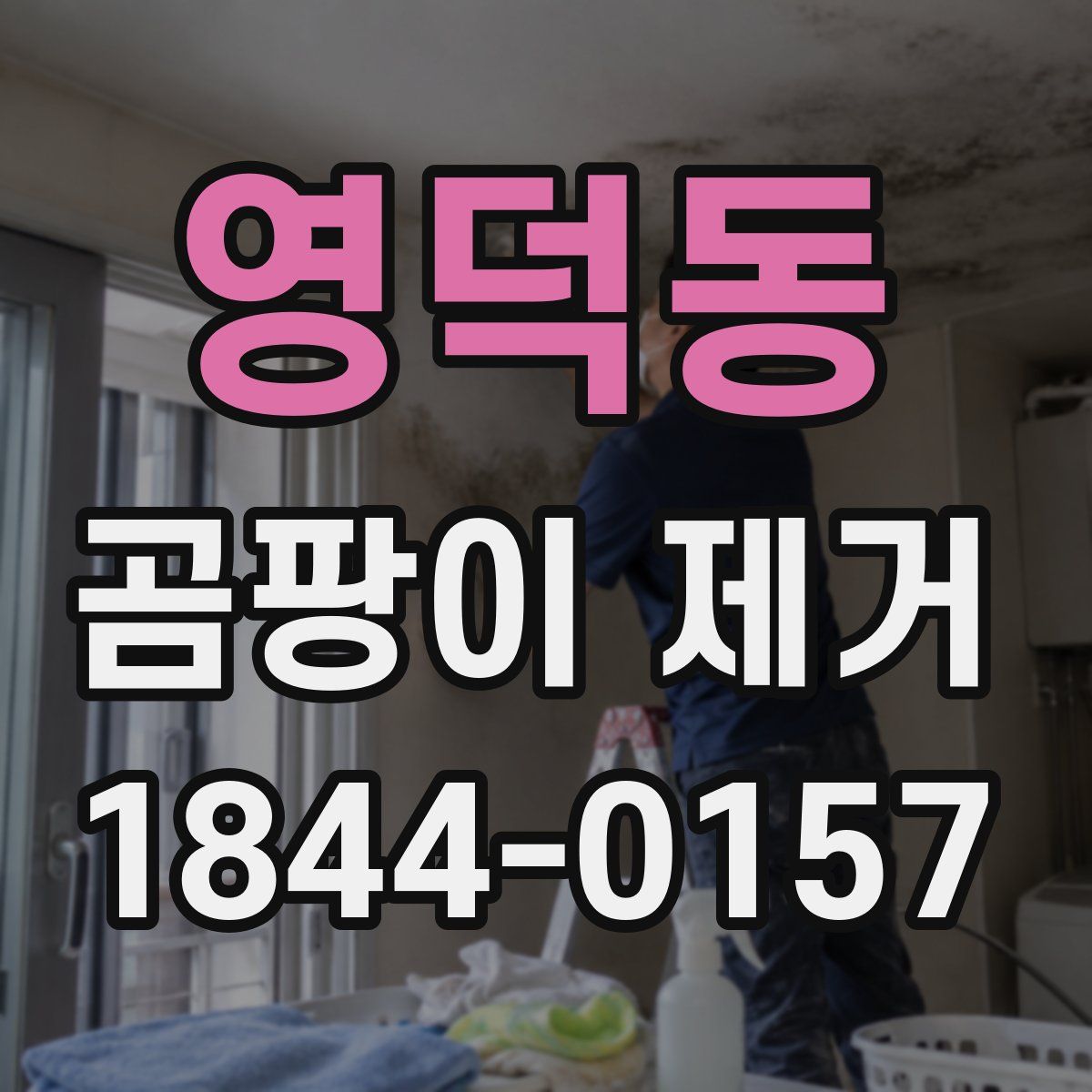 영덕동 곰팡이 제거