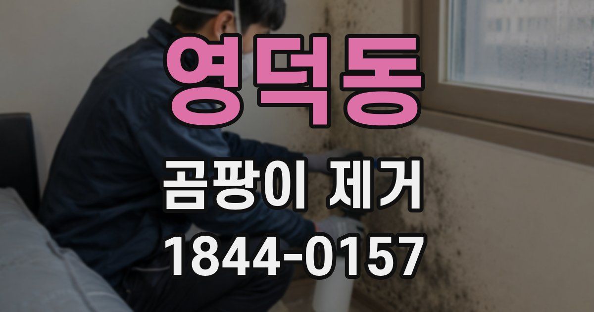 영덕동 곰팡이 제거