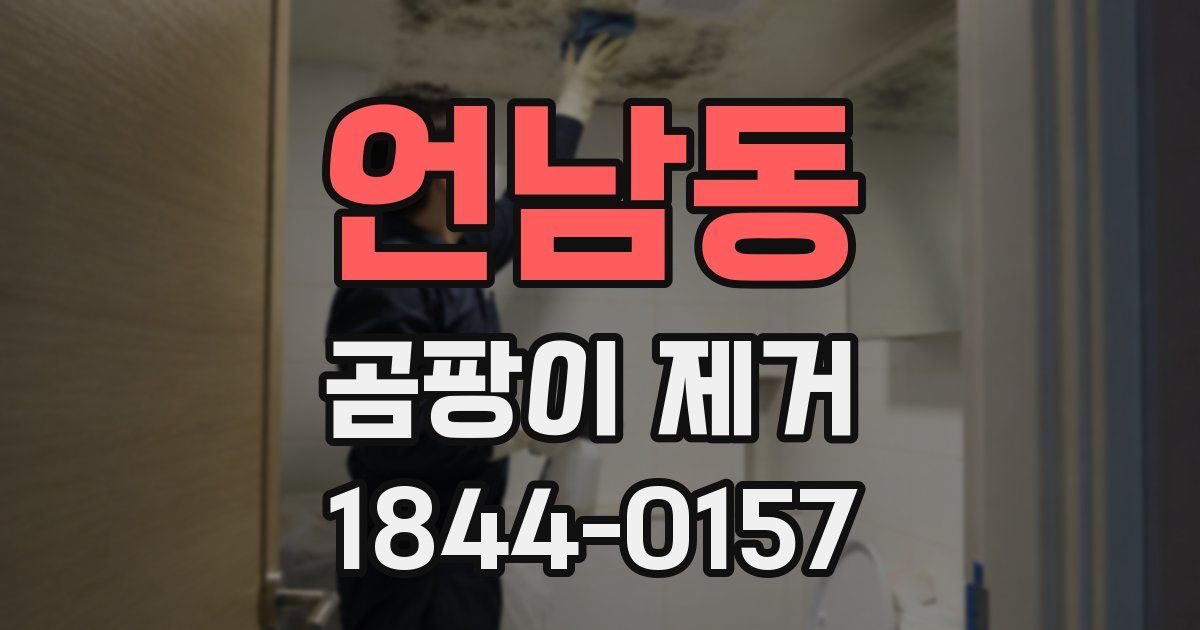 언남동 곰팡이 제거