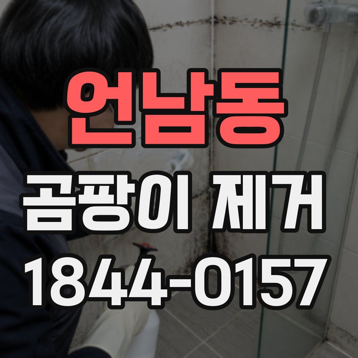 언남동 곰팡이 제거