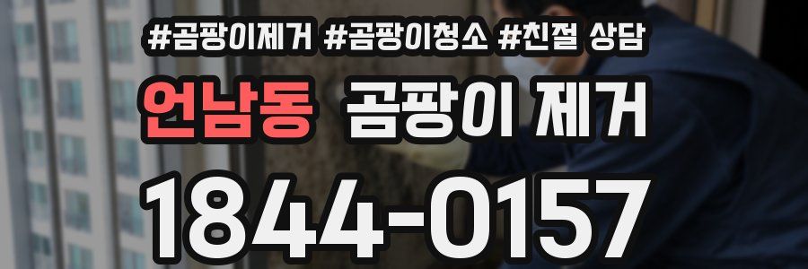 언남동 곰팡이 제거