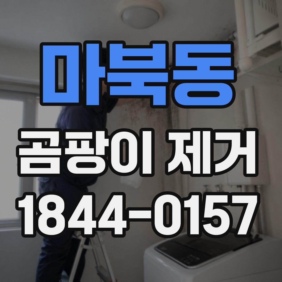 마북동 곰팡이 제거