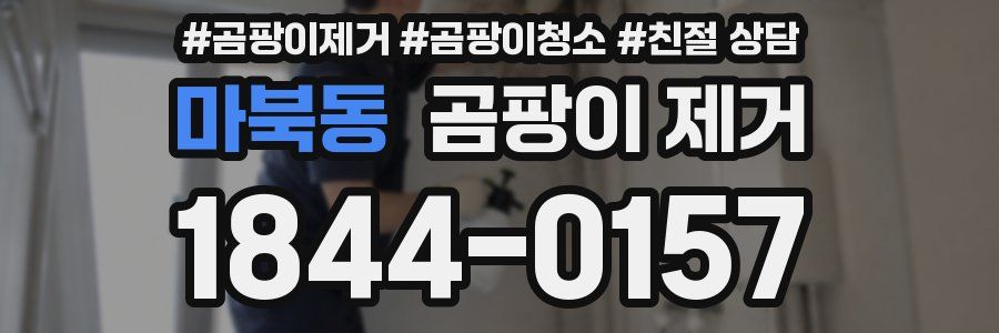 마북동 곰팡이 제거