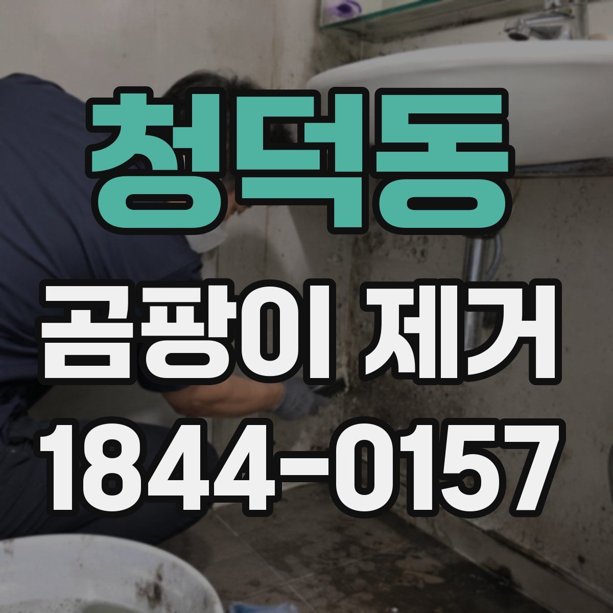 청덕동 곰팡이 제거
