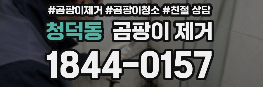청덕동 곰팡이 제거