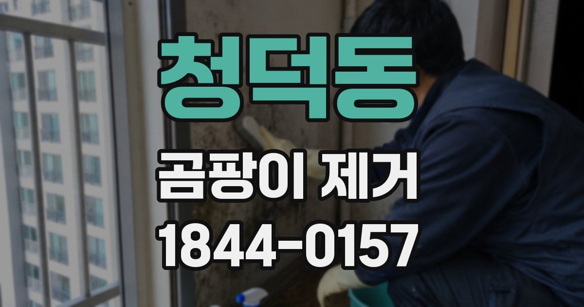 청덕동 곰팡이 제거