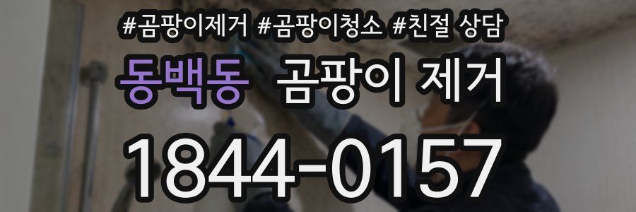 동백동 곰팡이 제거