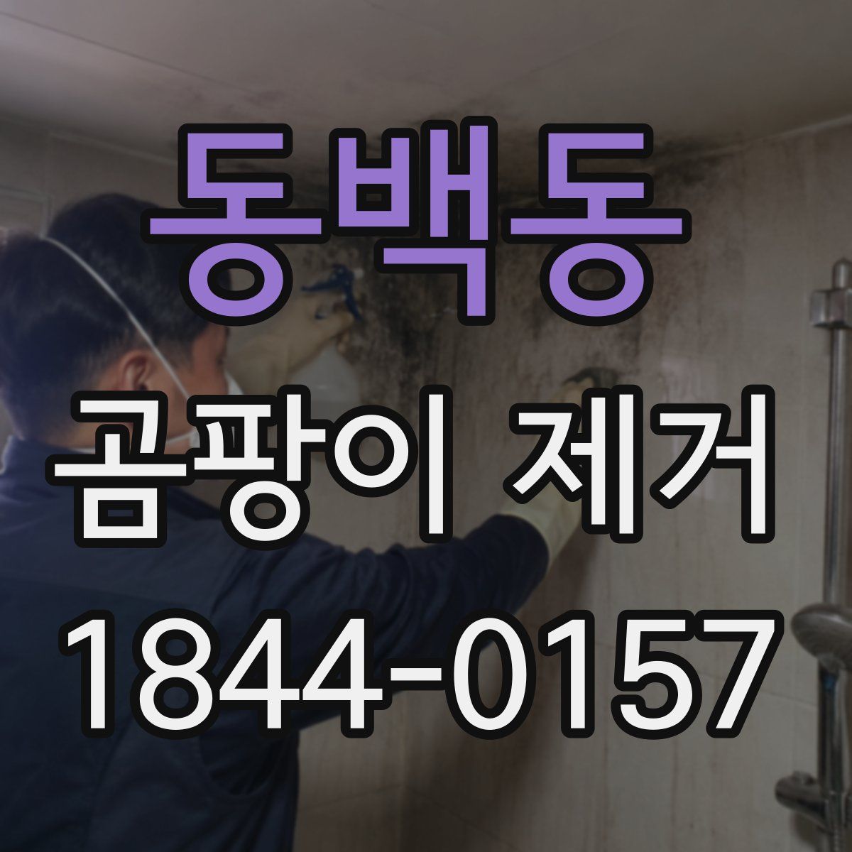 동백동 곰팡이 제거