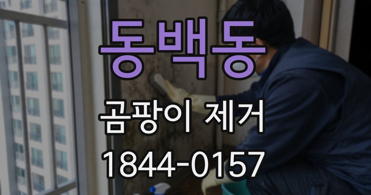 동백동 곰팡이 제거