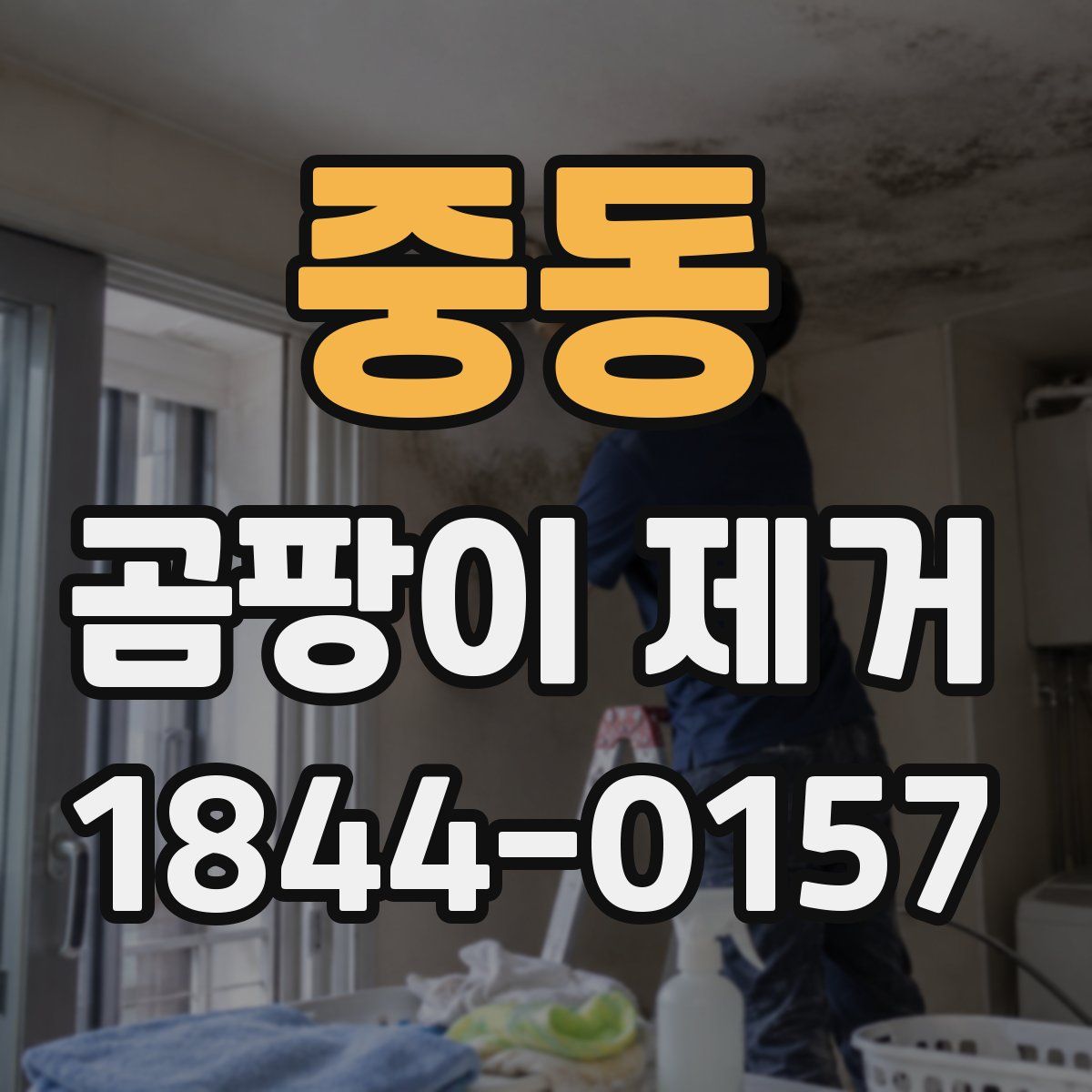 중동 곰팡이 제거
