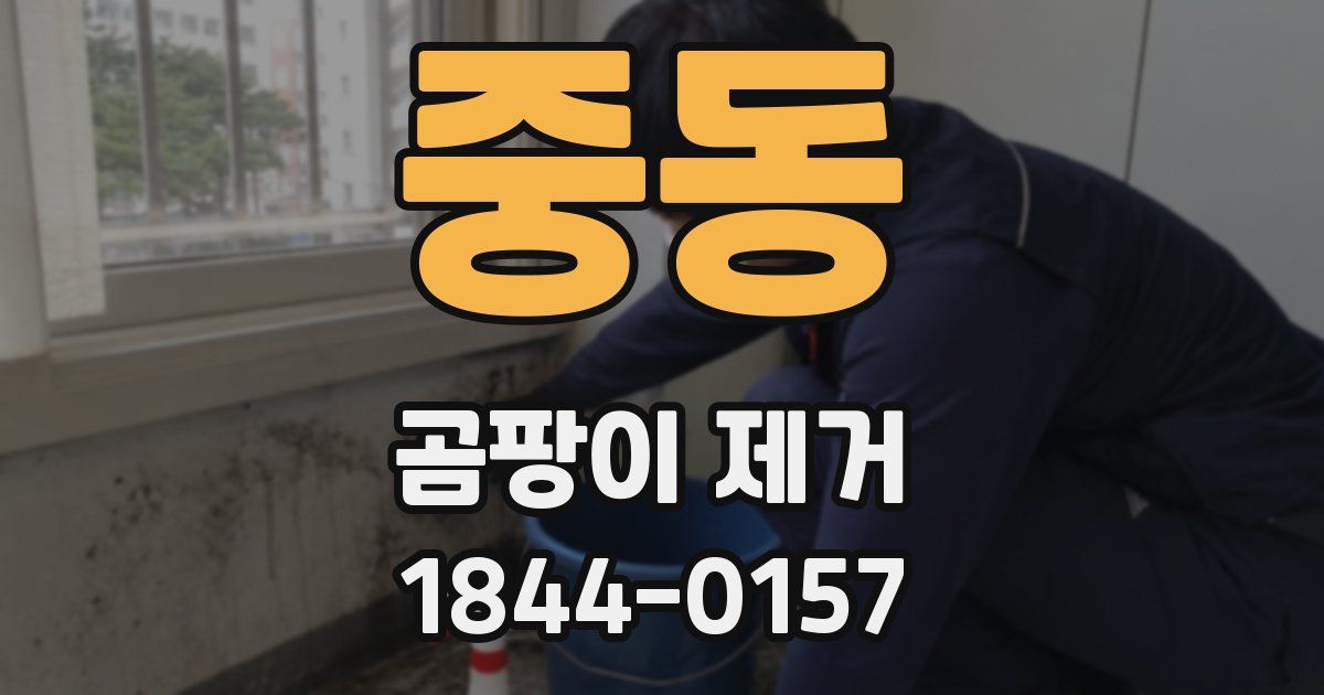 중동 곰팡이 제거
