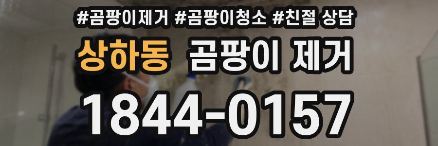 상하동 곰팡이 제거