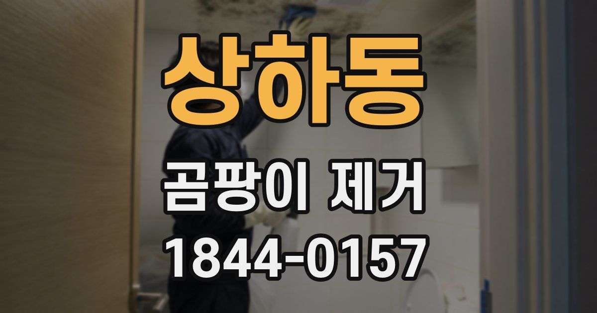 상하동 곰팡이 제거