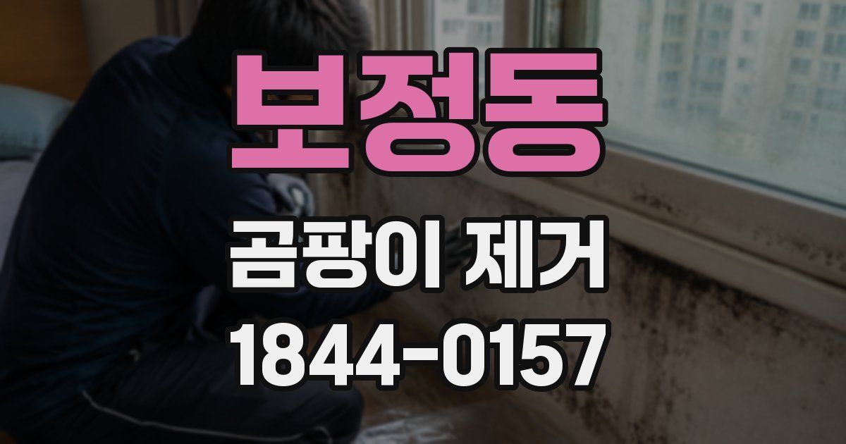 보정동 곰팡이 제거