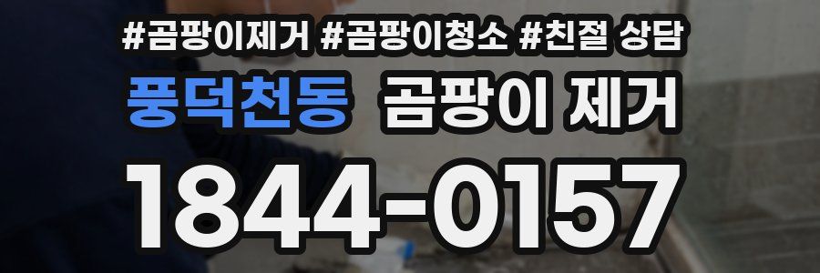 풍덕천동 곰팡이 제거