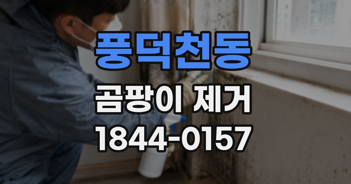 풍덕천동 곰팡이 제거