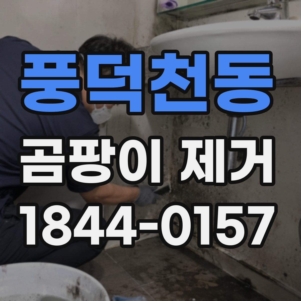 풍덕천동 곰팡이 제거