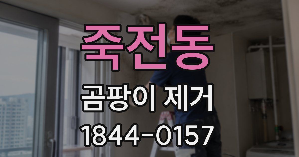 죽전동 곰팡이 제거