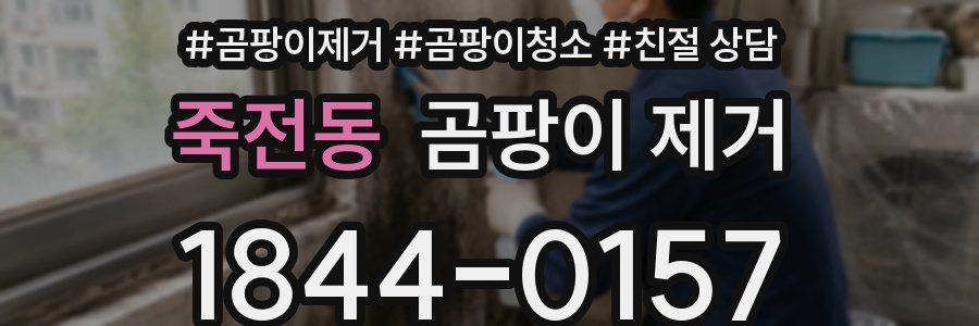 죽전동 곰팡이 제거