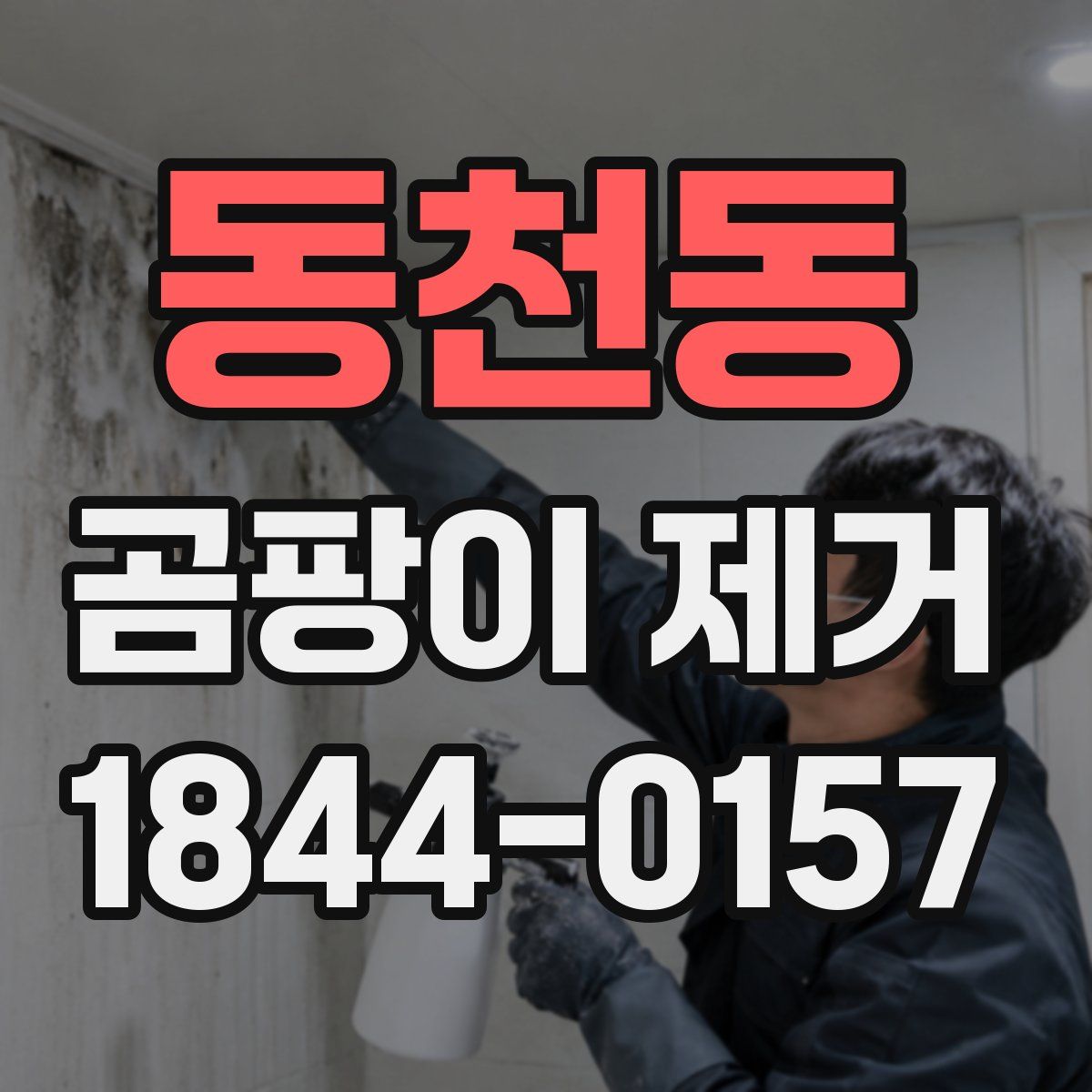 동천동 곰팡이 제거