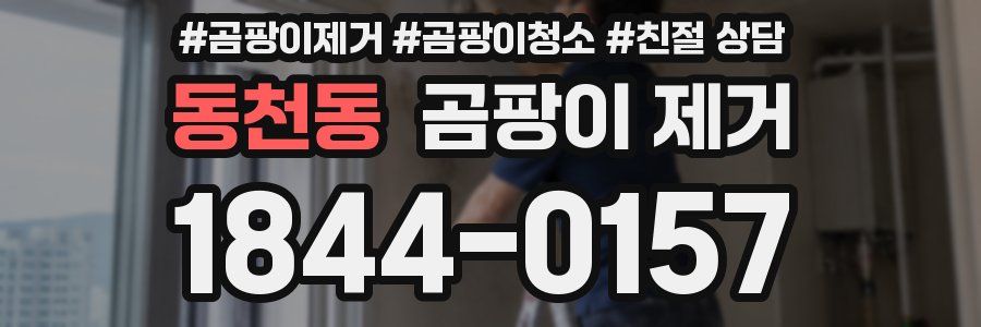 동천동 곰팡이 제거