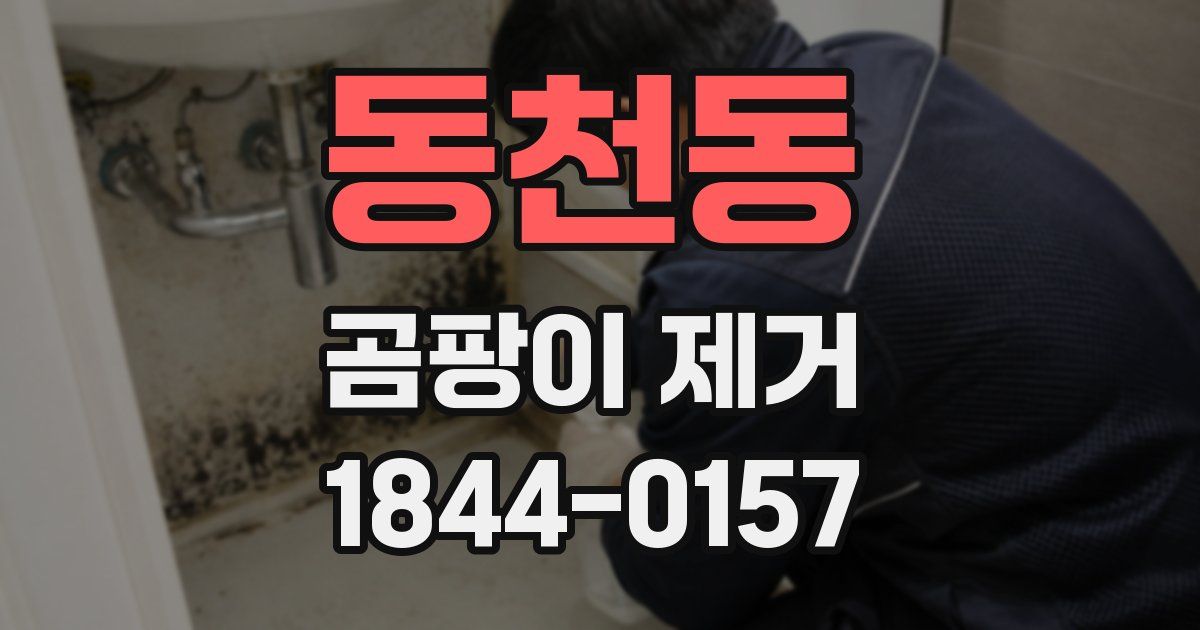 동천동 곰팡이 제거