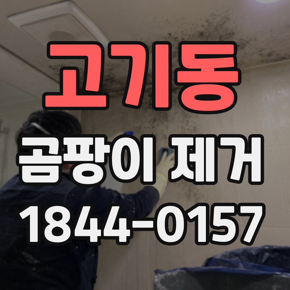 고기동 곰팡이 제거