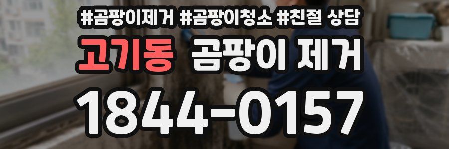고기동 곰팡이 제거