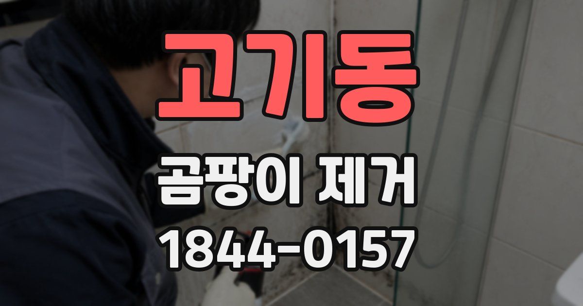 고기동 곰팡이 제거