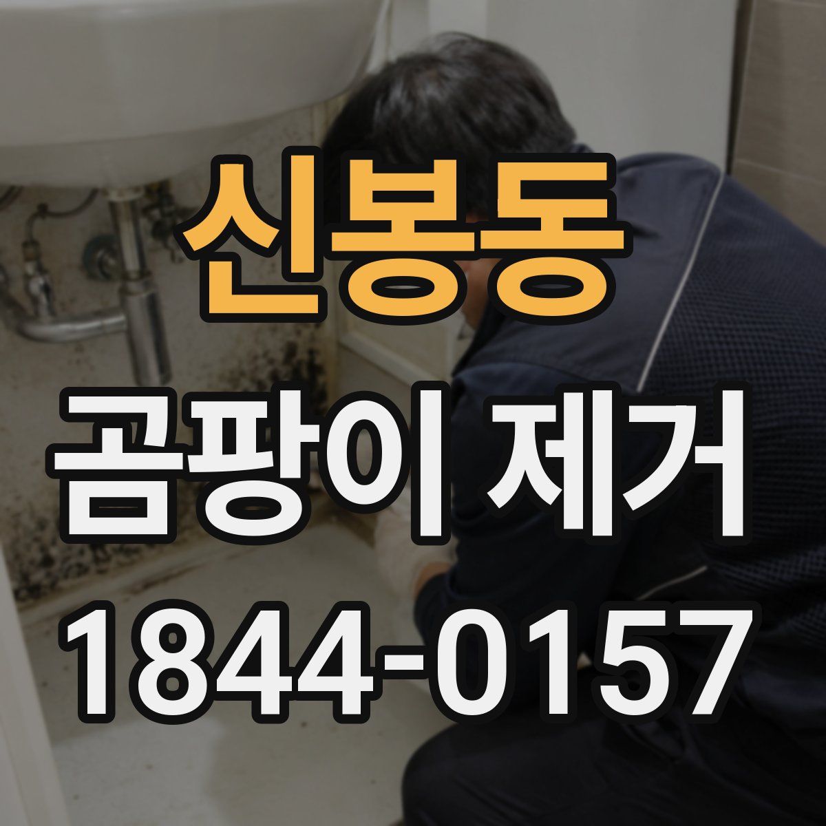 신봉동 곰팡이 제거