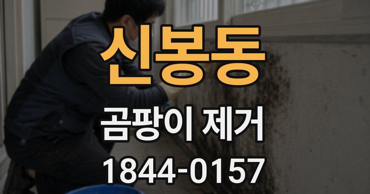 신봉동 곰팡이 제거