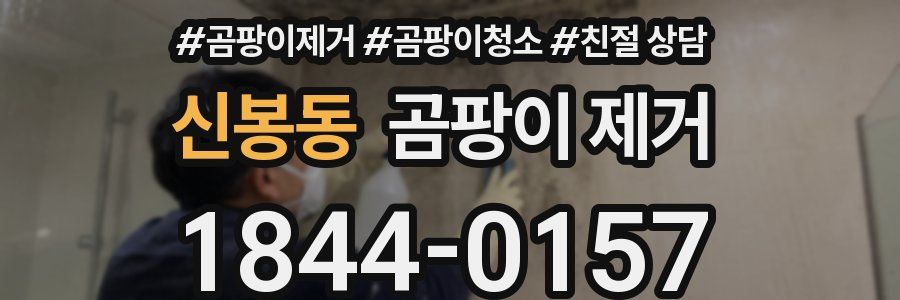 신봉동 곰팡이 제거
