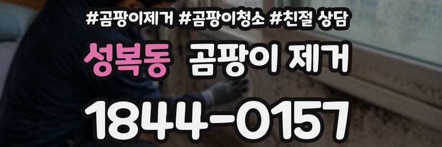 성복동 곰팡이 제거
