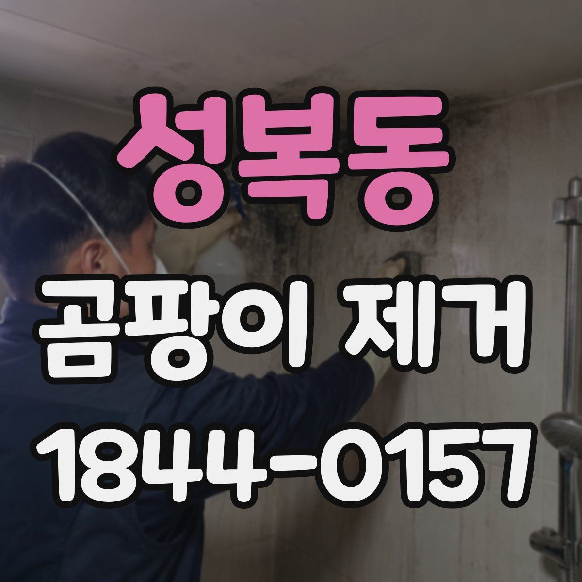성복동 곰팡이 제거