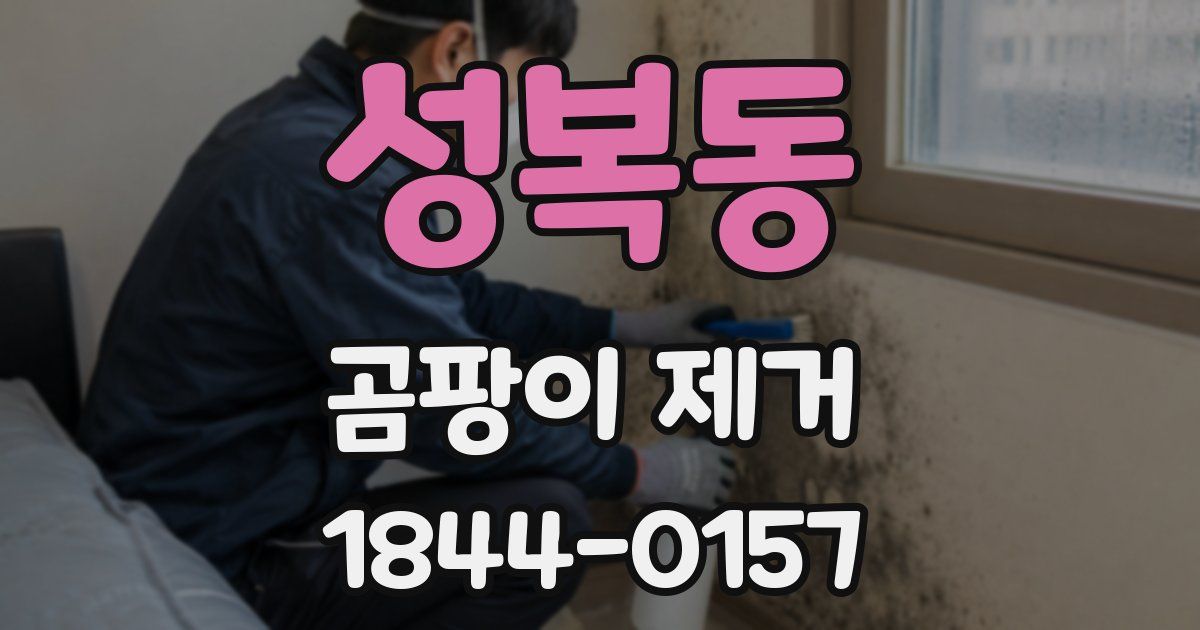 성복동 곰팡이 제거
