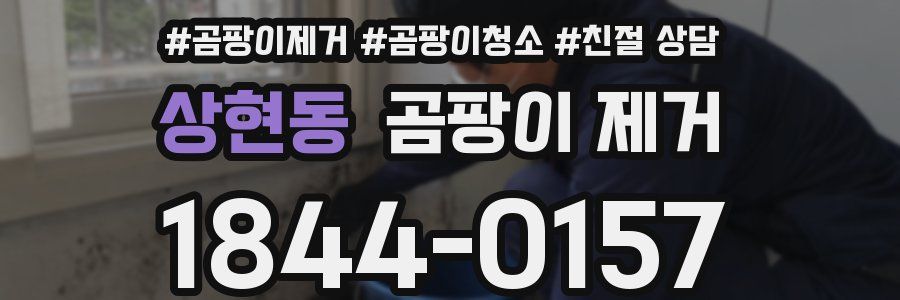 상현동 곰팡이 제거