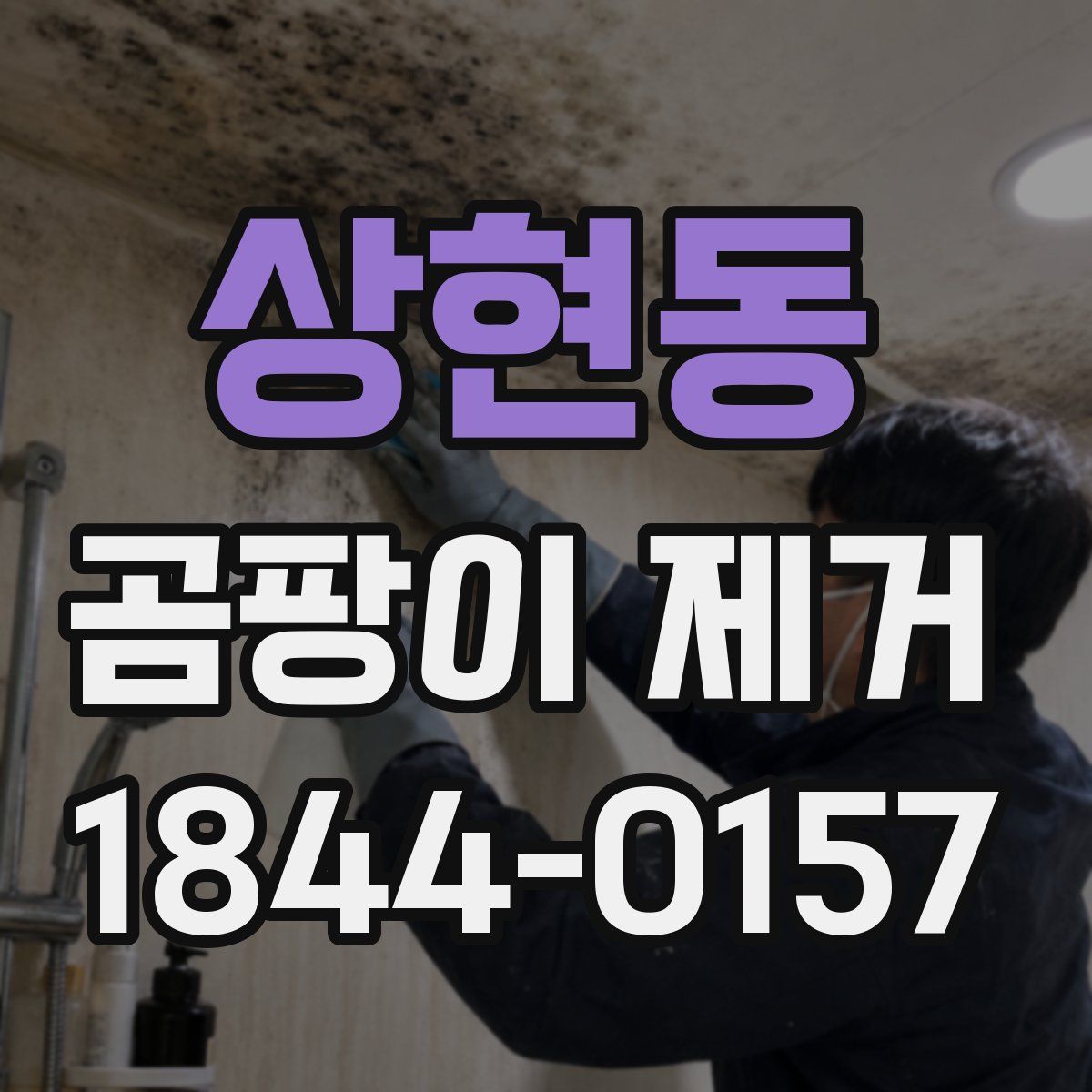 상현동 곰팡이 제거