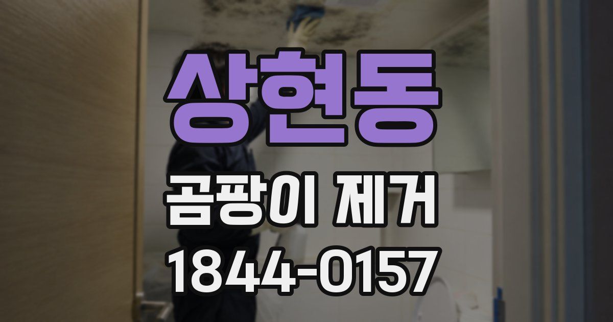 상현동 곰팡이 제거