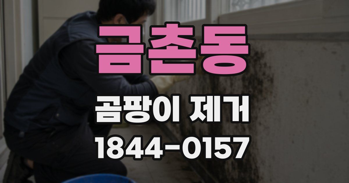 금촌동 곰팡이 제거