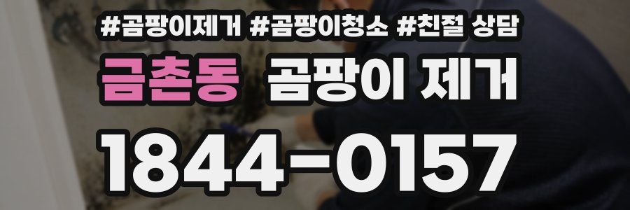 금촌동 곰팡이 제거
