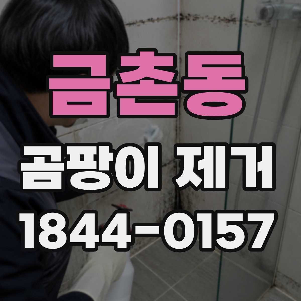 금촌동 곰팡이 제거