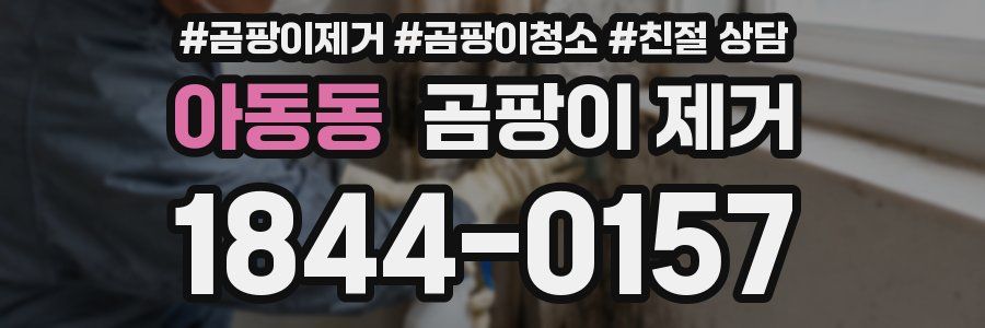 아동동 곰팡이 제거
