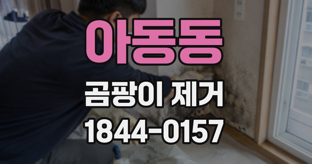 아동동 곰팡이 제거