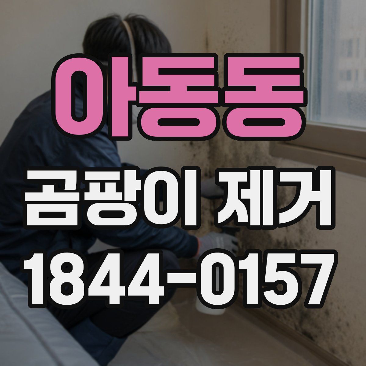 아동동 곰팡이 제거