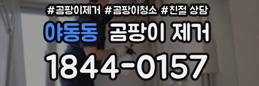 야동동 곰팡이 제거