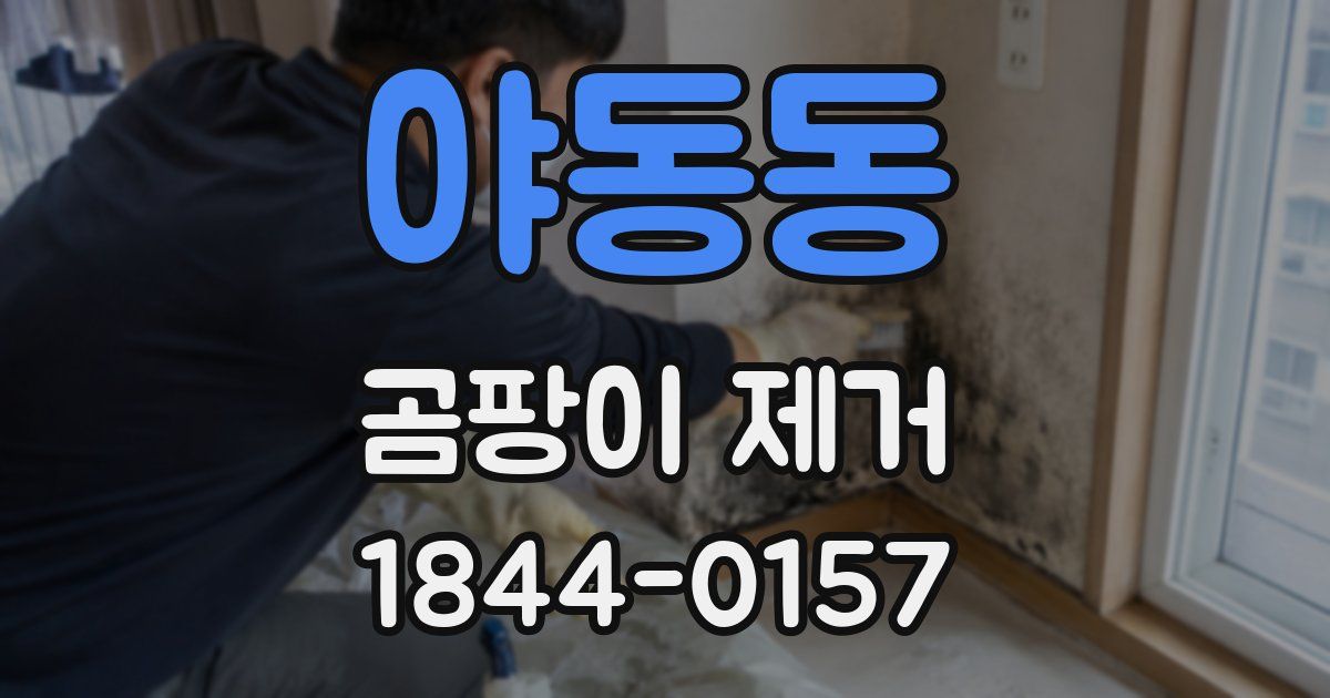 야동동 곰팡이 제거