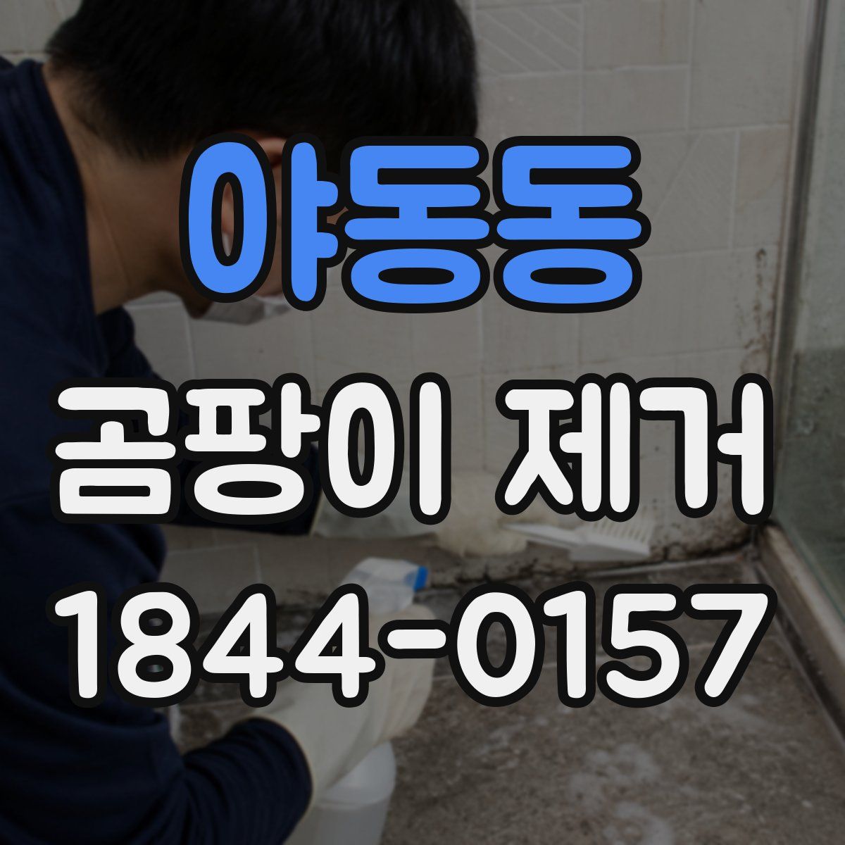 야동동 곰팡이 제거