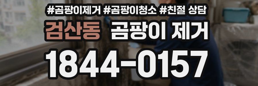 검산동 곰팡이 제거
